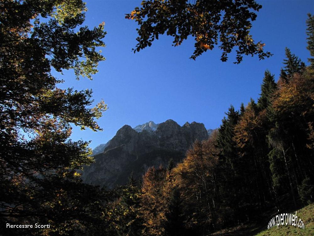 09 tra i rami le cime di Gualta.JPG